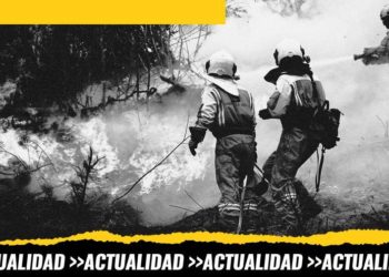 No quiero morir trabajando: profesiones de riesgo