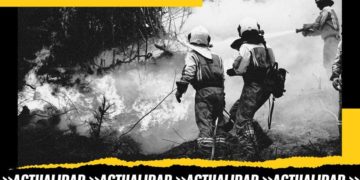 No quiero morir trabajando: profesiones de riesgo